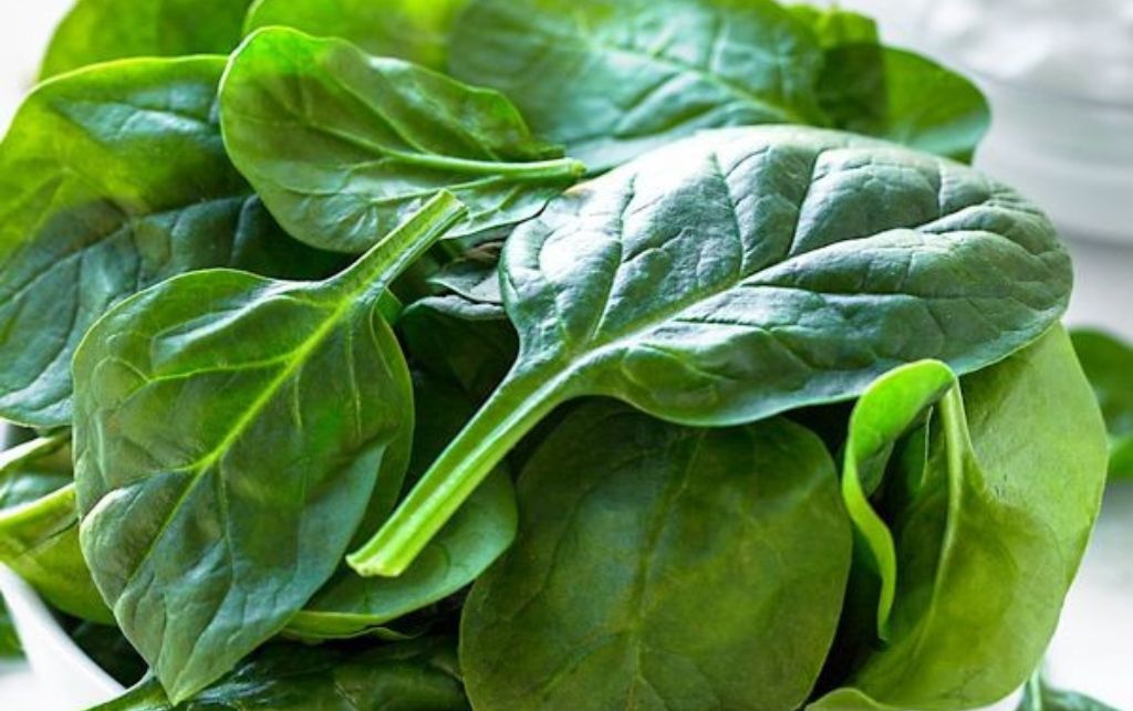 spinach in hindi